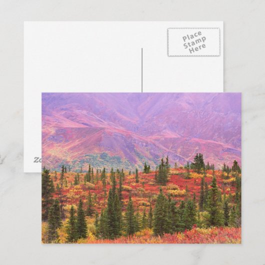 Kleur van de herfst in het Nationaal Park Denali Briefkaart (Voorkant / Achterkant)