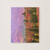 Kleur van de herfst in het Nationaal Park Denali Legpuzzel (Verticaal)