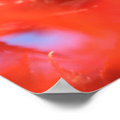 Kleur van de Herfst van Arborist Fiery: rode mapel Poster (Hoek)