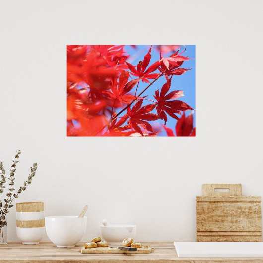 Kleur van de Herfst van Arborist Fiery: rode mapel Poster (Keuken)