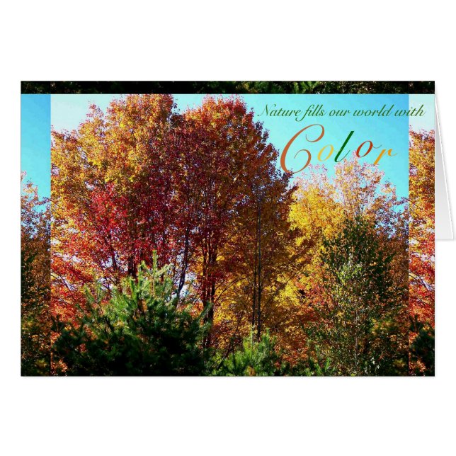 Kleur van de olie (Voorkant Horizontaal)