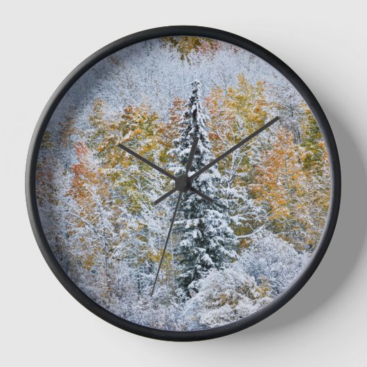 Kleur van de spens- en sneeuwbalpas (Voorkant)