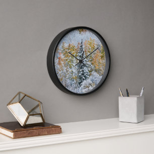 Kleur van de spens- en sneeuwbalpas