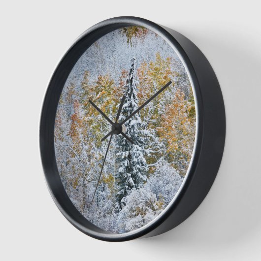 Kleur van de spens- en sneeuwbalpas (Hoek)