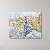 Kleur van de spens- en sneeuwbalpas canvas afdruk (Voorkant)