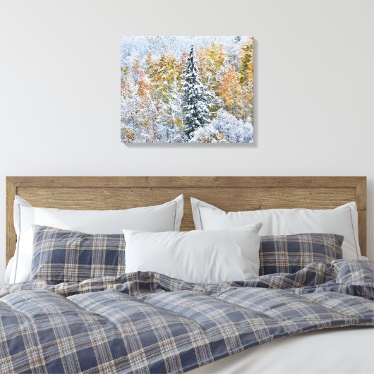 Kleur van de spens- en sneeuwbalpas canvas afdruk (Insitu (Slaapkamer))