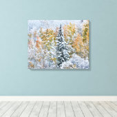 Kleur van de spens- en sneeuwbalpas canvas afdruk (Insitu (Houten vloer))