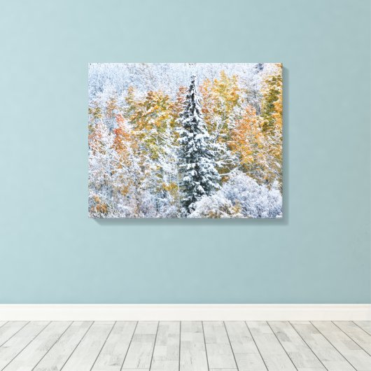 Kleur van de spens- en sneeuwbalpas canvas afdruk (Insitu (Houten vloer))