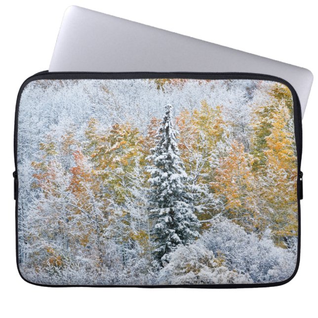 Kleur van de spens- en sneeuwbalpas laptop sleeve (Voorkant)