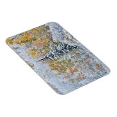 Kleur van de spens- en sneeuwbalpas magneet (Rechterzijde)