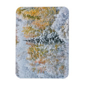 Kleur van de spens- en sneeuwbalpas magneet (Verticaal)