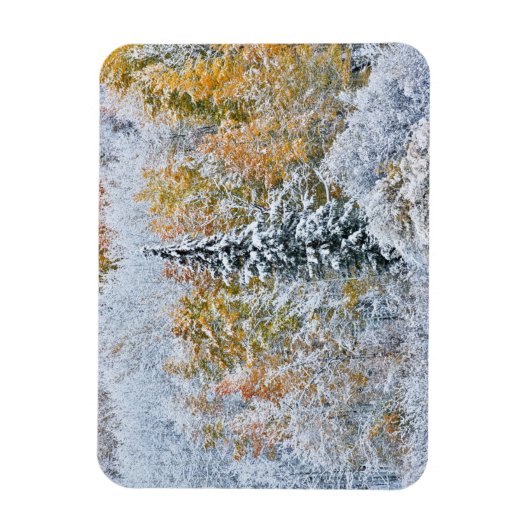 Kleur van de spens- en sneeuwbalpas magneet (Verticaal)