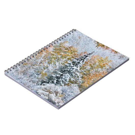 Kleur van de spens- en sneeuwbalpas notitieboek (Linkerzijde)