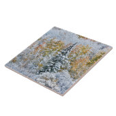 Kleur van de spens- en sneeuwbalpas tegeltje (Zijkant)