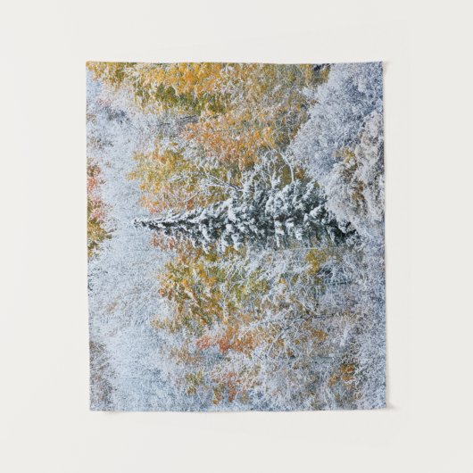 Kleur van de spens- en sneeuwbalpas wandkleed (Voorkant)