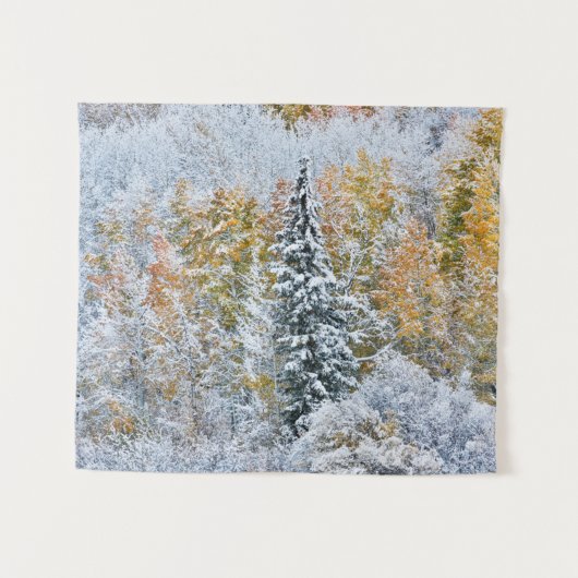 Kleur van de spens- en sneeuwbalpas wandkleed (Voorkant (horizontaal))