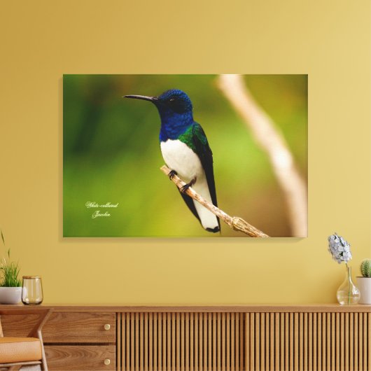 Kleur van denkwijze canvas afdruk (Insitu (Woonkamer))