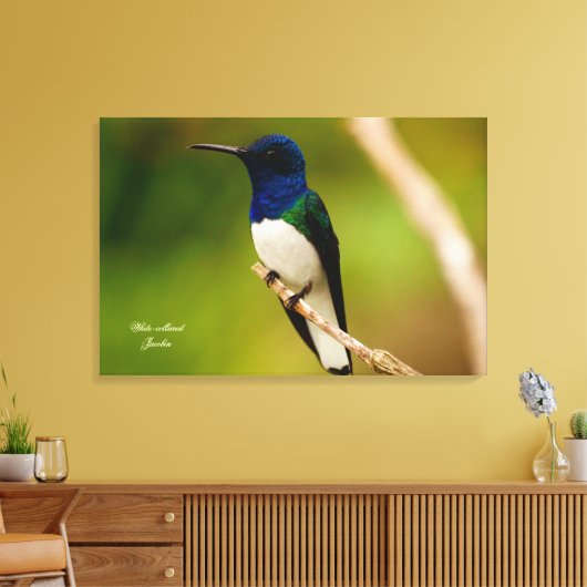 Kleur van denkwijze canvas afdruk (Insitu (Woonkamer))