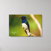 Kleur van denkwijze canvas afdruk (Voorkant)