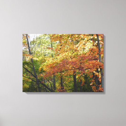 Kleur van herfst / Volgende bladeren Canvas Afdruk (Voorkant)
