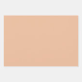 Kleur van het jaar 2024 | perzik inpakpapier vel (Voorkant 2)