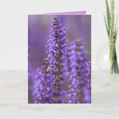 Kleur van het zomerse blanco Wenskaart Kaart (Voorkant)