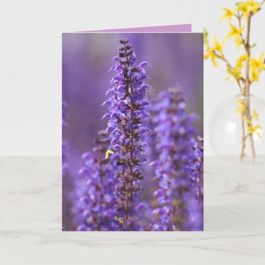 Kleur van het zomerse blanco Wenskaart Kaart (Gele Bloem)