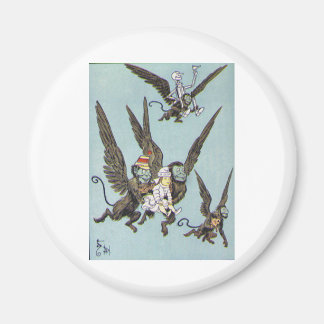 Kleur van vliegende apen magneet