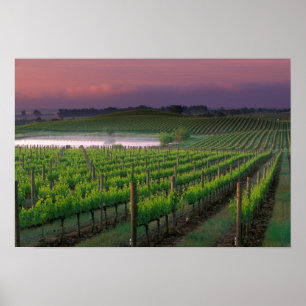 Kleur van zonsopgang in de verre mist erachter poster
