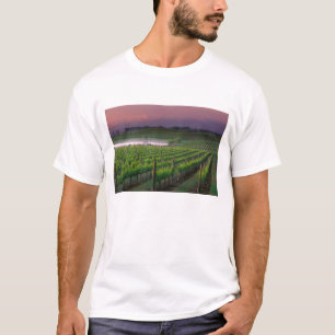 Kleur van zonsopgang in de verre mist erachter t-shirt