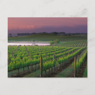 Kleur van zonsopgang in de verre nevel achter briefkaart