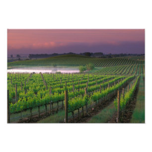 Kleur van zonsopgang in de verre nevel achter foto afdruk