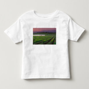 Kleur van zonsopgang in de verre nevel achter kinder shirts
