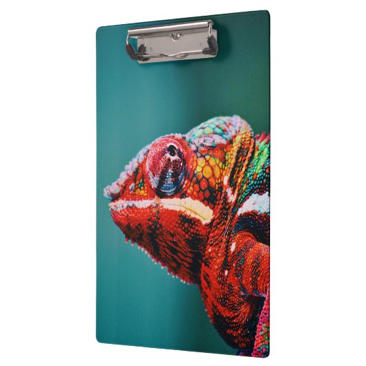 Kleur veranderende regenboogkameleon Reptile Klembord (Links)