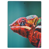 Kleur veranderende regenboogkameleon Reptile Klembord (Achterkant)