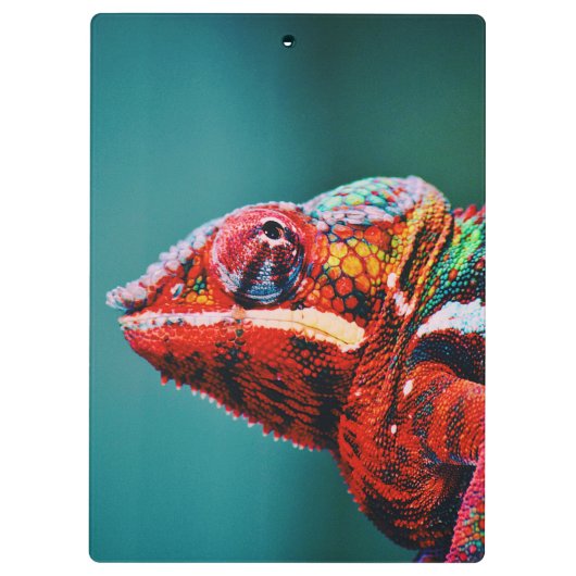 Kleur veranderende regenboogkameleon Reptile Klembord (Achterkant)