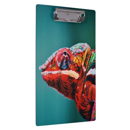 Kleur veranderende regenboogkameleon Reptile Klembord (Rechts)