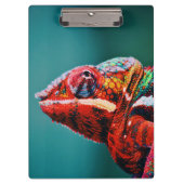 Kleur veranderende regenboogkameleon Reptile Klembord (Voorkant)