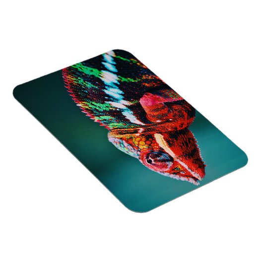 Kleur veranderende regenboogkameleon Reptile Magneet (Rechterzijde)