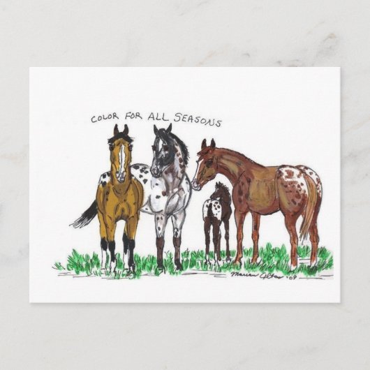 Kleur voor alle seizoenen briefkaart (Voorkant)