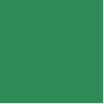 kleur zee groen staand fotobeeldje<br><div class="desc">kleur zee groen 2E8B57</div>