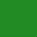 kleurbos groen staand fotobeeldje<br><div class="desc">groen kleurenbos 228B22</div>