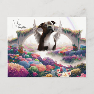 Kleurbrug Sympathie Aandenken Postkaart Kunst