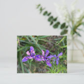 KLEURCELEBRATIE VAN CALIFORNIA: MAG BRIEFKAARTEN (Staand voorkant)