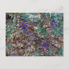 KLEURCELEBRATIE VOOR CALIFORNIË: DECEMBER BRIEFKAA BRIEFKAART