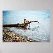 Kleuren afdrukken poster (Voorkant)