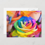 kleuren bloem briefkaart (Voorkant / Achterkant)