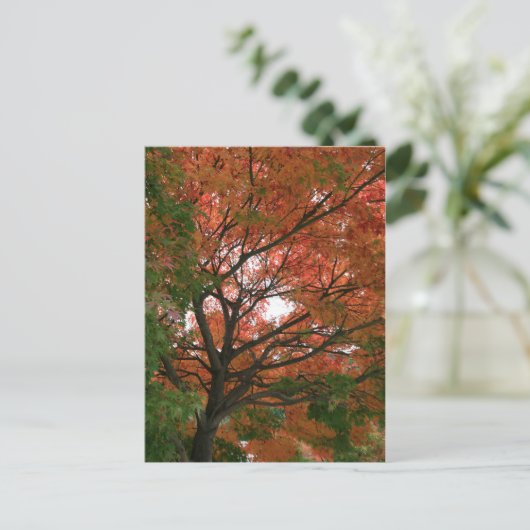 Kleuren Briefkaart (Staand voorkant)