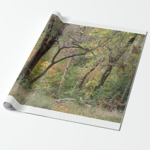 Kleuren in een bos vallen cadeaupapier