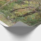 Kleuren in een bos vallen cadeaupapier (Hoek)